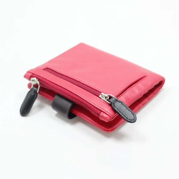 website-31 Paw Keeper (Red)